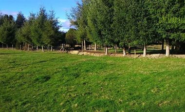 Parcela en Venta en Monteverde