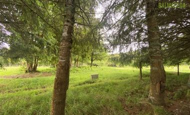 Parcela en Venta en Monteverde