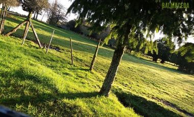 Parcela en Venta en Monteverde