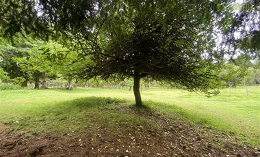 Parcela en Venta en Monteverde