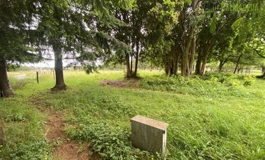 Parcela en Venta en Monteverde