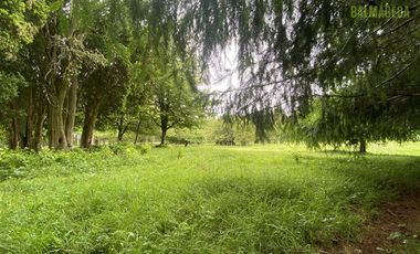 Parcela en Venta en Monteverde