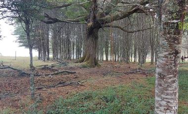 Parcela en Venta en Monteverde
