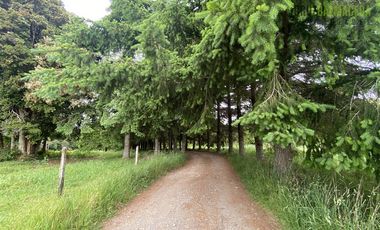 Parcela en Venta en Monteverde