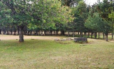 Parcela en Venta en Monteverde