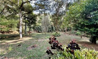 Oportunidad! Se Vende Casa con Amplio lote en Cerro Azul