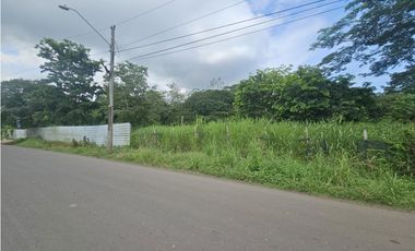 Se vende finca de 4 has. comercial o residencial en Puerto Caimito