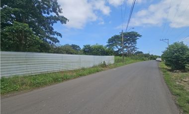 Se vende finca de 4 has. comercial o residencial en Puerto Caimito