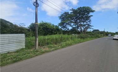 Se vende finca de 4 has. comercial o residencial en Puerto Caimito