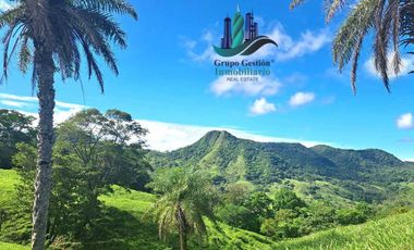 VENDO FINCA 205 HECTAREAS  EOLICAS