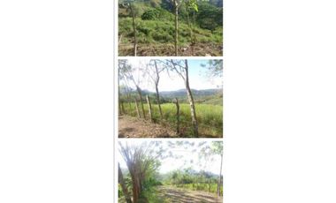 VENDO FINCA 205 HECTAREAS  EOLICAS