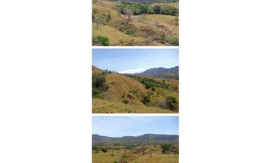 VENDO FINCA 205 HECTAREAS  EOLICAS