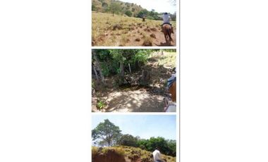 VENDO FINCA 205 HECTAREAS  EOLICAS