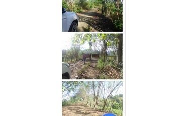 VENDO FINCA 205 HECTAREAS  EOLICAS