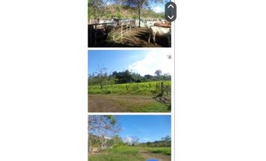 VENDO FINCA 205 HECTAREAS  EOLICAS