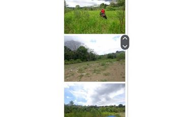 VENDO FINCA 205 HECTAREAS  EOLICAS