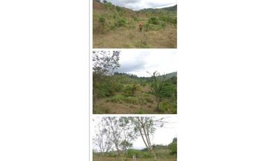 VENDO FINCA 205 HECTAREAS  EOLICAS