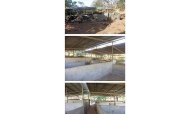 VENDO FINCA 205 HECTAREAS  EOLICAS
