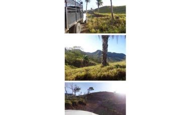 VENDO FINCA 205 HECTAREAS  EOLICAS