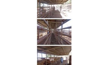 VENDO FINCA 205 HECTAREAS  EOLICAS