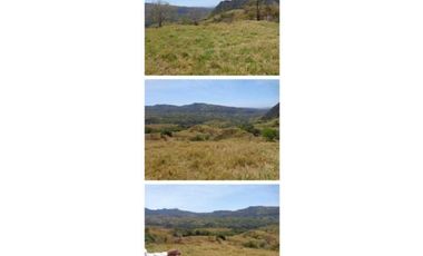 VENDO FINCA 205 HECTAREAS  EOLICAS