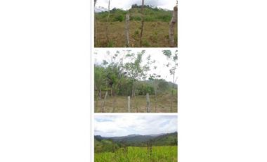 VENDO FINCA 205 HECTAREAS  EOLICAS
