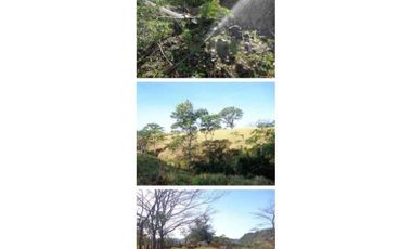VENDO FINCA 205 HECTAREAS  EOLICAS