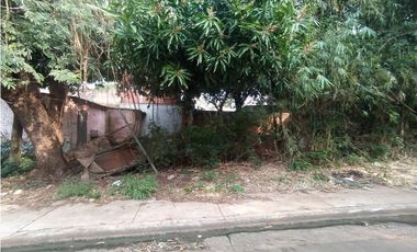 TERRENO ATRAS DEL TEATRO GRIEGO EL BRETE