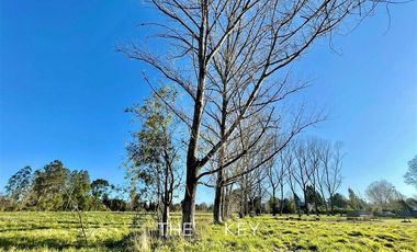 Parcela en Venta en Metrenco - Santa Justa.