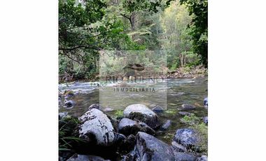 Orilla de río