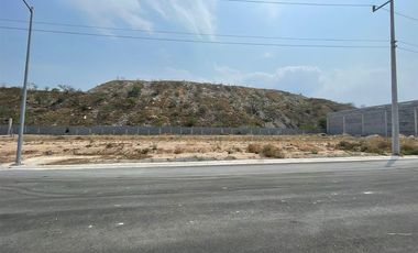 TERRENO INDUSTRIAL EN RENTA EN SANTA CATARINA