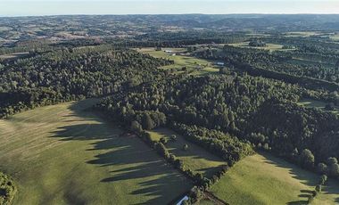 Agrícola en Venta en SECTOR LLICO - FRESIA