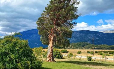 Patagonia, 46ha cercano a  Puerto Río Tranquilo