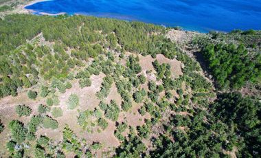 Patagonia, 22ha orilla del Lago Esmeralda