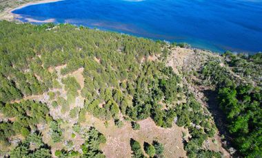 Patagonia, 22ha orilla del Lago Esmeralda