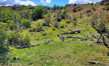 Patagonia, 22ha orilla del Lago Esmeralda