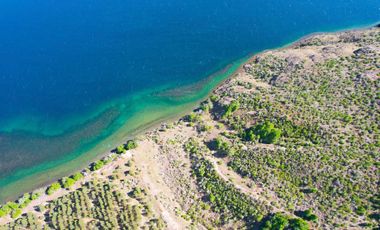Patagonia, 22ha orilla del Lago Esmeralda