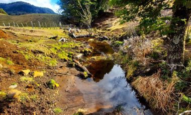 Patagonia, 62ha cercano a lago Barroso