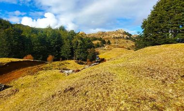 Patagonia, 62ha cercano a lago Barroso