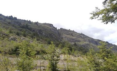 Patagonia,96.5ha sector rio Los Ñadis, Cochrane