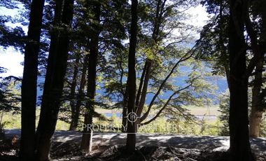 Patagonia,96.5ha sector rio Los Ñadis, Cochrane