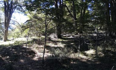 Patagonia,96.5ha sector rio Los Ñadis, Cochrane