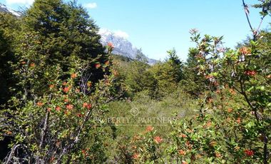 Patagonia,96.5ha sector rio Los Ñadis, Cochrane