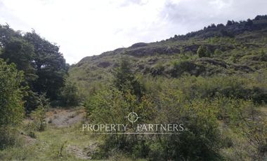 Patagonia,96.5ha sector rio Los Ñadis, Cochrane
