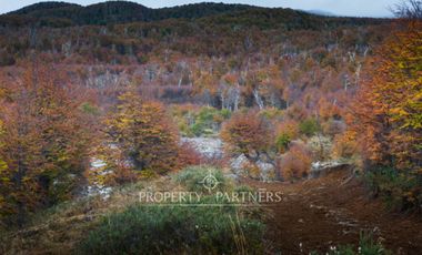 Patagonia, 2.800ha Excepcional Estancia Lago Bravo