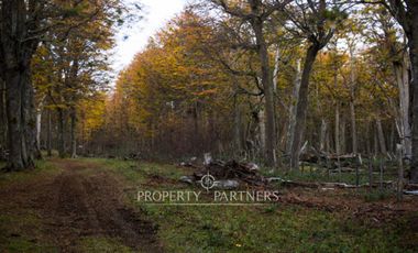 Patagonia, 2.800ha Excepcional Estancia Lago Bravo