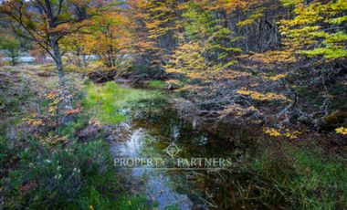 Patagonia, 2.800ha Excepcional Estancia Lago Bravo