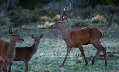 Patagonia, 2.800ha Excepcional Estancia Lago Bravo