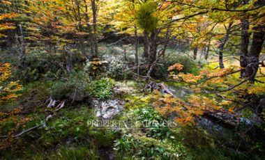 Patagonia, 2.800ha Excepcional Estancia Lago Bravo
