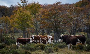 Patagonia, 2.800ha Excepcional Estancia Lago Bravo